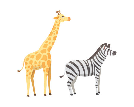African animals cartoon vector set. giraffe, zebra, safari isolated illustration