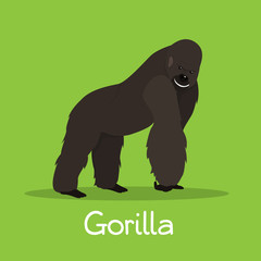 Obraz premium African gorilla illustration design on green background.vector