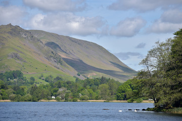 Shore of Grasmere, English Lake District