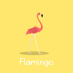 Flamingo bird illustration design on yellow background.vector
