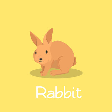 A lovely rabbit pet illustration design on yellow background.vector