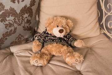 Teddy bear, Vintage