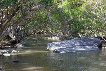Tranquil view down Davies Creek