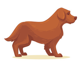 Vector illustration of cartoon dog. Isolated