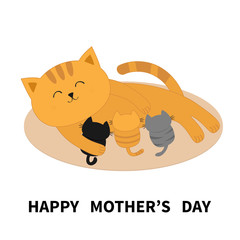 Happy Mothers Day. Cat feeding kittens. Mom kitty laying on the floor and nursing little cats. Milk feed. Breastfeeding pet animal. Cute cartoon character. Flat design. White background. Isolated.