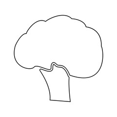 Broccoli black color path icon .