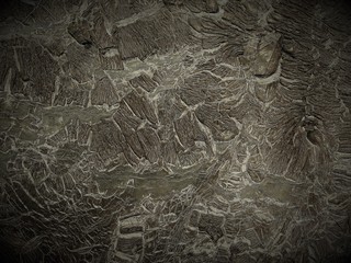 The texture of the solidified resin through the filter.