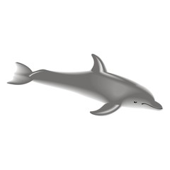 dolphin