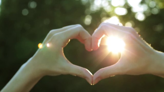 Female fingers in the shape of heart. Female hands in the shape of heart against the background of the sun.