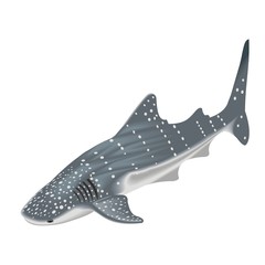 whale shark