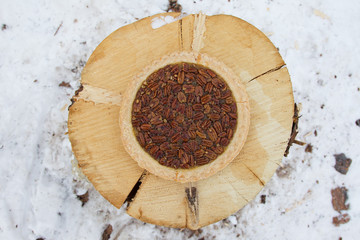 Pecan pie served with a log as a table