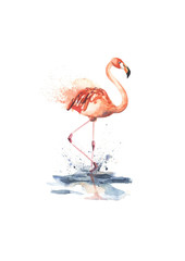 Hand drawn pink flamingo created by watercolor. © satika