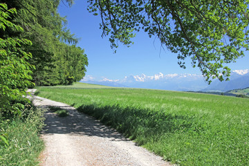 Berner Oberland, Längenberg, Alpen, Schweiz 