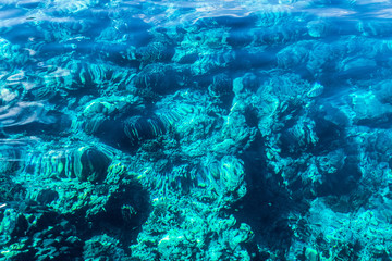 Fototapeta na wymiar Under the sea Visible rocks and coral.