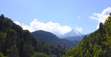 Obraz premium Green mountain valley in blue fog against blue sky and white cloud. Summer landscape. 