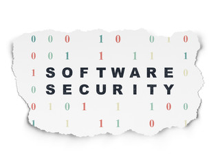 Security concept: Software Security on Torn Paper background