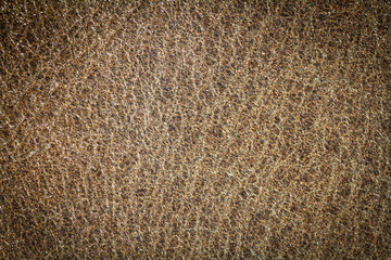 Leather texture background for industry export, fashion business, furniture design and interior decoration idea concept.