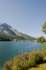 Obraz premium St. Moritz, Dorf, St. Moritzersee, See, Seeufer, Wanderweg, Spazierweg, Uferweg, Wassersport, Kirche, St. Moritz Bad, Alpen, Engadin, Oberengadin, Graubünden, Sommer, Schweiz