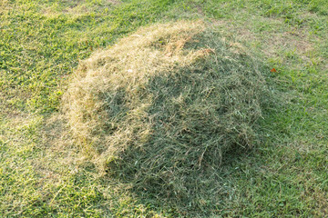 Haystacks near the hill.