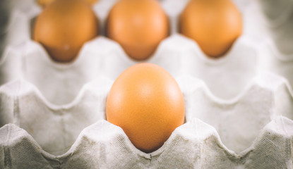 Close up eggs in the package,Egg shells are brown skin beautiful