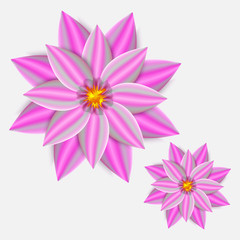 Fototapeta premium Flower isolated on white