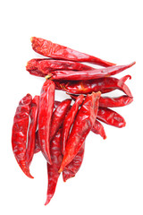 The chili of isolated on a white background