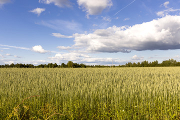 Countryside landscape view over meadow