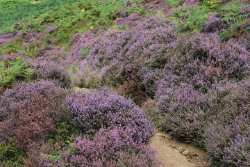 Peak District Nationalpark in Nordengland