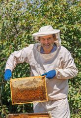beekeeper holding a honeycomb