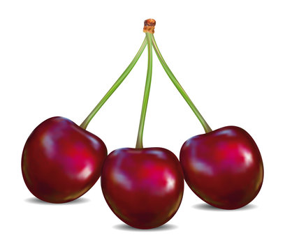 Cherry on a white background.
