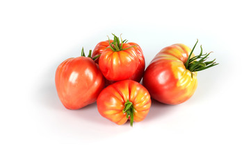 gruppo di pomodori