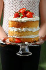 Summer cake