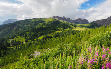 Am Grödnerjoch Dolomiten