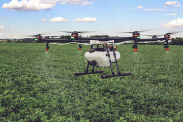 Agriculture drone fly to sprayed fertilizer on the green fields. drone flying with blue sky.