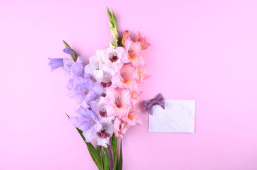 Beautiful gladiolus flowers on trendy pink background.