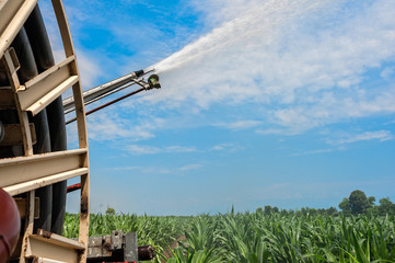 Fototapeta premium Water sprinkler installation in a field of corn.