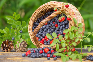 Wild berries in a basket on a wooden table