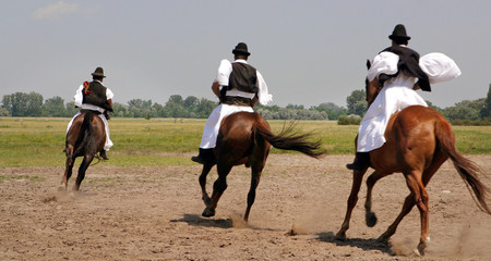 Pusta Hungary horse riding. Csikós. Traditional horse riders traditional costume. Poesta