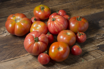 Tomatoes variety