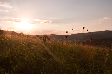 Setting Sun