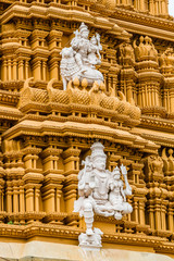 Obraz premium Temple Gopuram