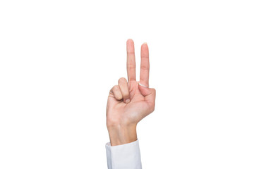 cropped view of person gesturing signed language or showing two sign, isolated on white