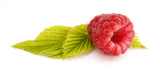 Berry raspberries on white background
