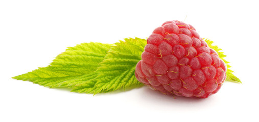  Berry raspberries on white background