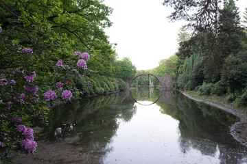 Photo sur Plexiglas Le Rakotzbrücke Reflektion der Rakotzbrücke zur Rhododendronblüte