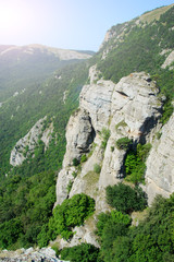 Amazing natural look green mountain forest.