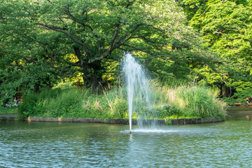 Fountain in the park 1
