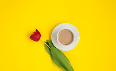 Fototapeta na wymiar Red flower and latte cup