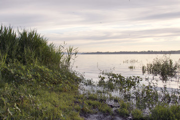 the trees in the water on the banks of the Volga river. the flood of the Volga river at dawn