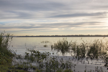 the trees in the water on the banks of the Volga river. the flood of the Volga river at dawn
